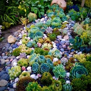 Meet your Posher, Carlota